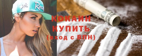 мет Няндома