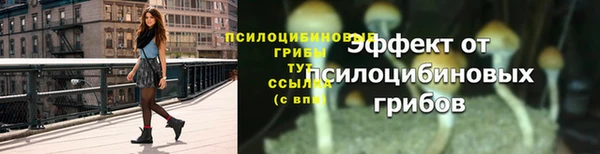 трава Нягань