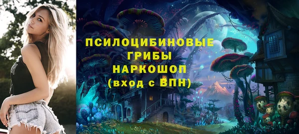 трава Нягань