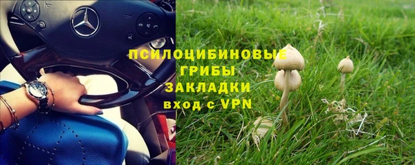 мет Няндома