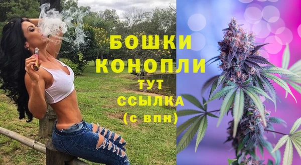 ешки Новодвинск