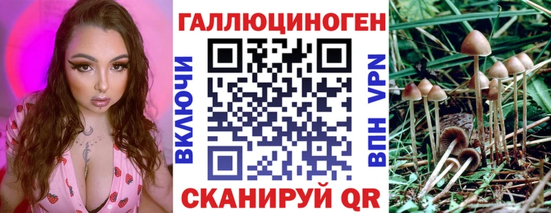 закладки  Ивдель  Галлюциногенные грибы Cubensis 
