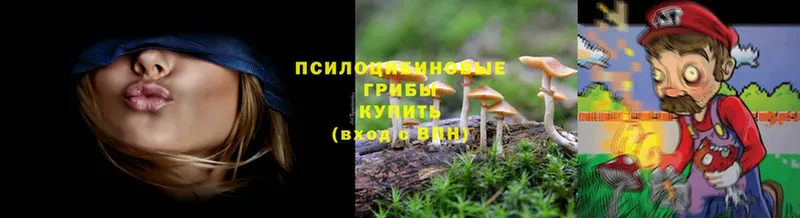 Псилоцибиновые грибы Psilocybine cubensis Ивдель